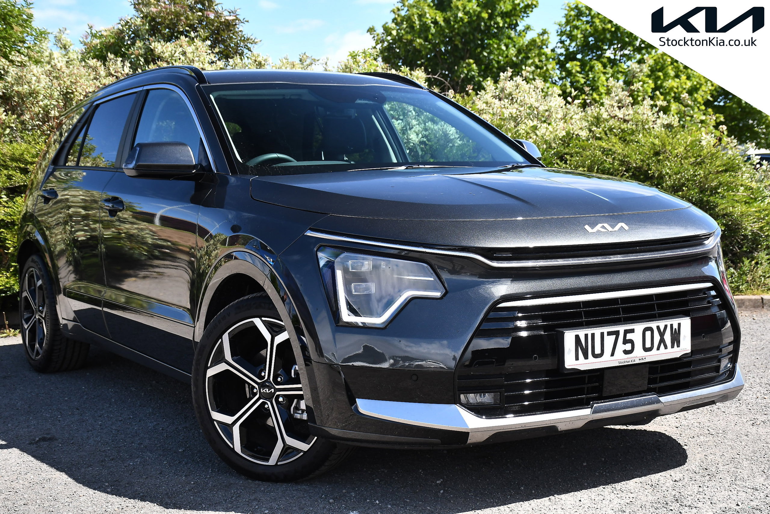 2025 KIA NIRO for sale