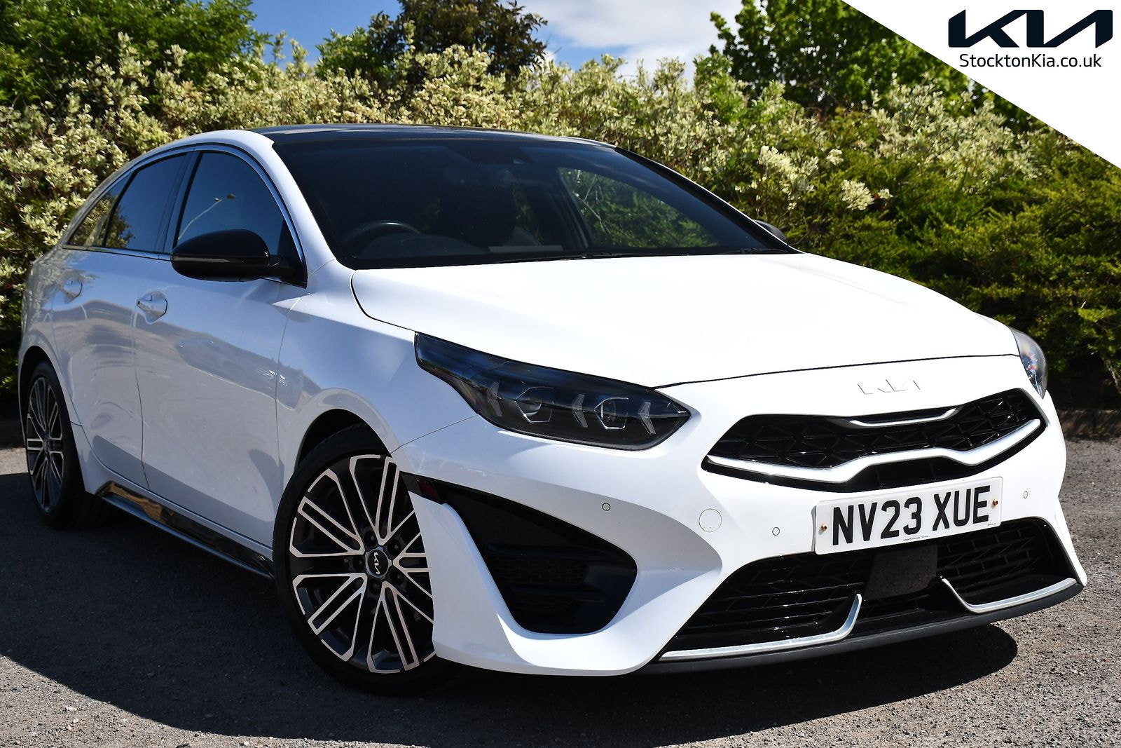 2023 KIA PROCEED for sale