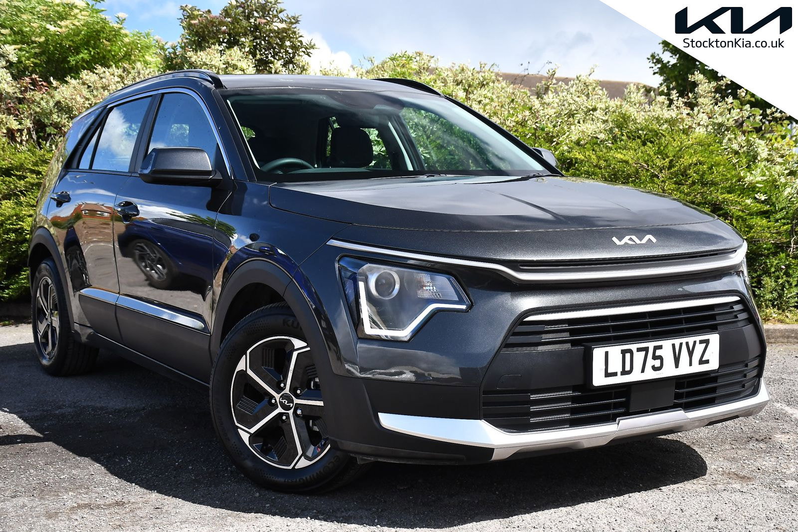 2025 KIA NIRO for sale