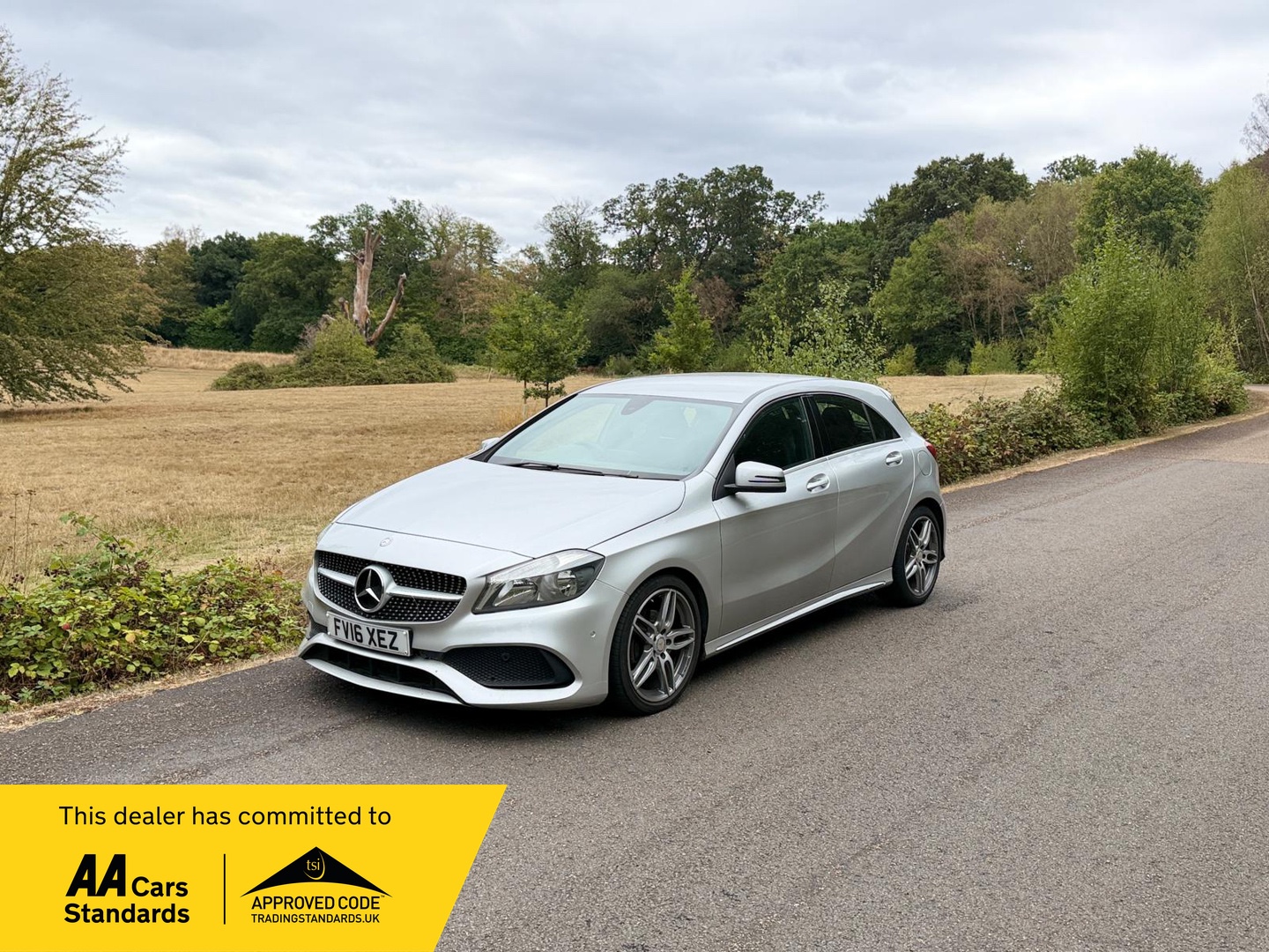 2016 MERCEDES-BENZ A CLASS for sale