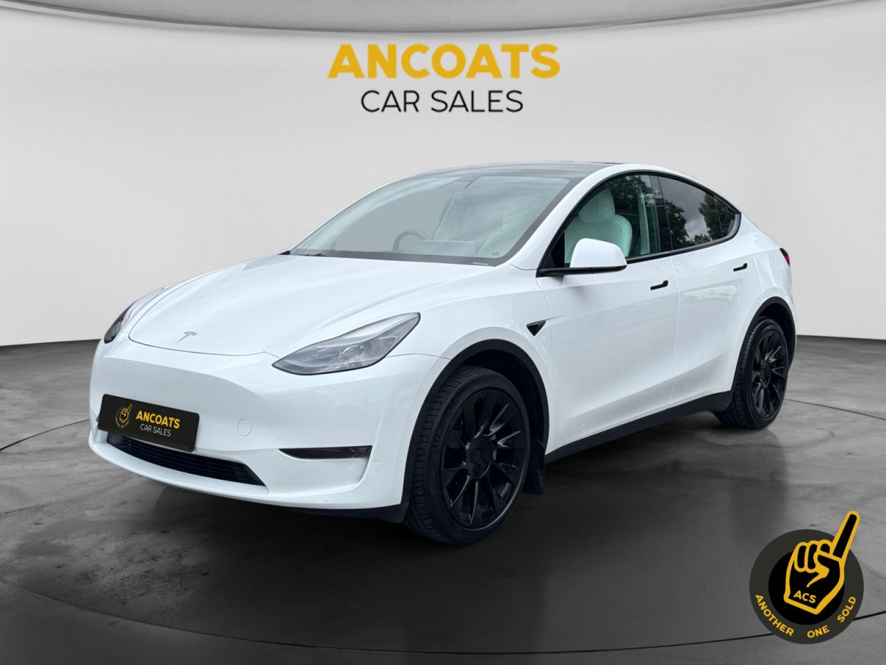 2023 TESLA MODEL Y for sale