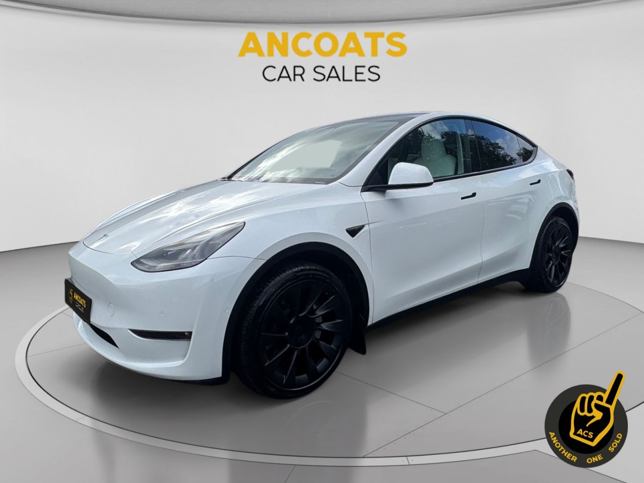 2022 TESLA MODEL Y for sale