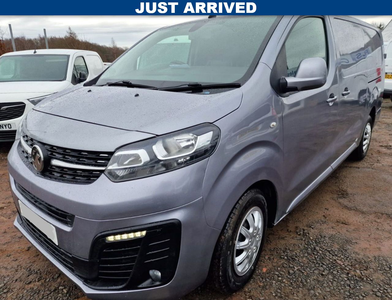 2019 VAUXHALL VIVARO for sale