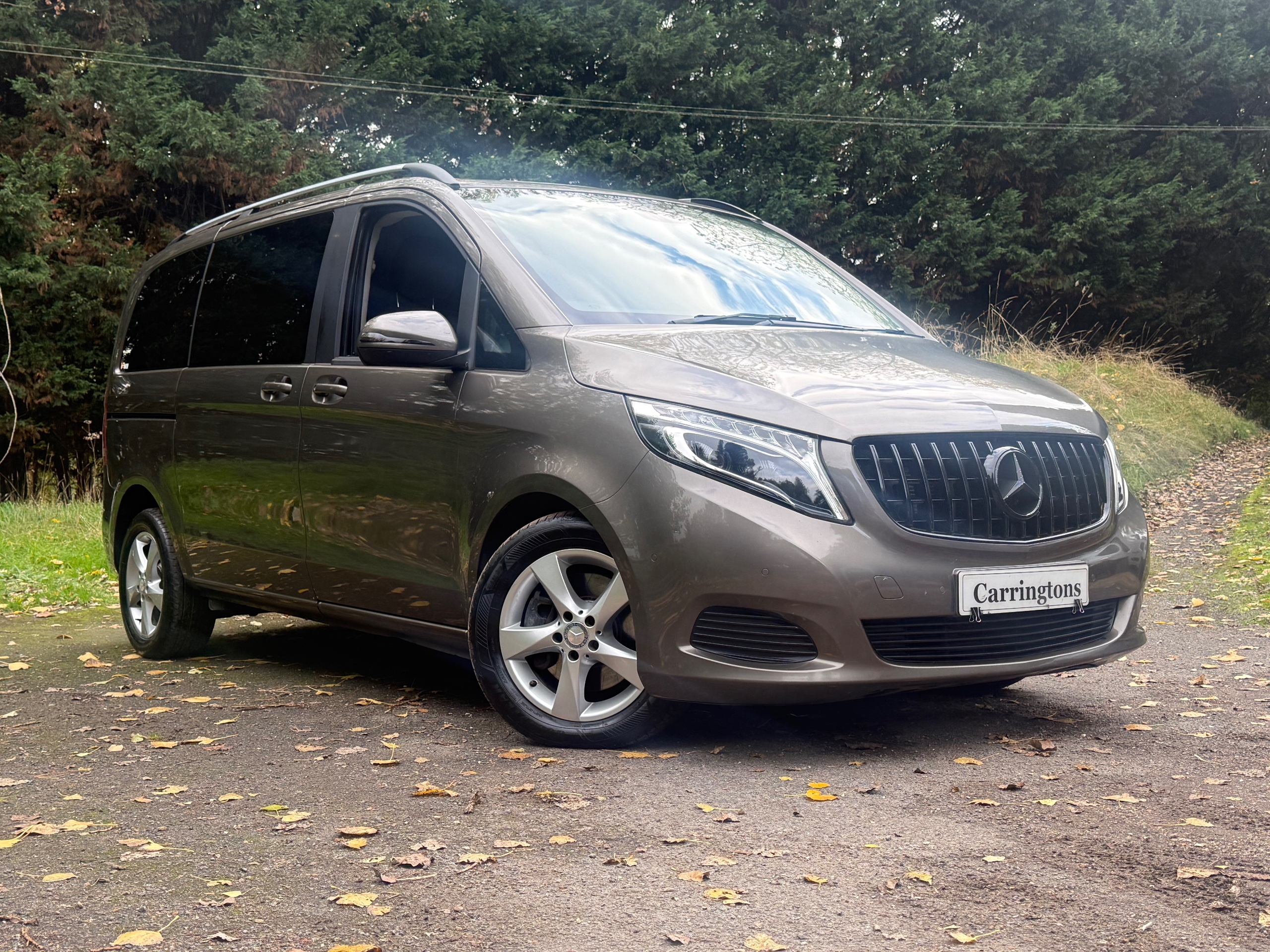2015 MERCEDES-BENZ V CLASS for sale