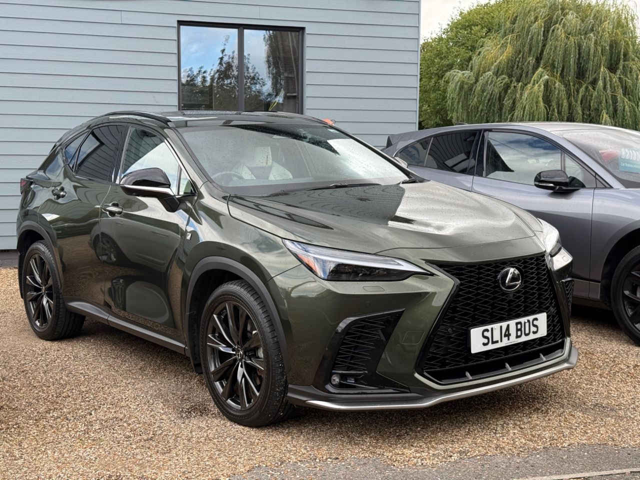 2023 LEXUS NX for sale