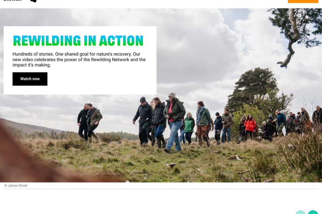 The Rewilding Britain homepage, headlined “Rewilding in action”, over a photograph of a group walking together through moorland.