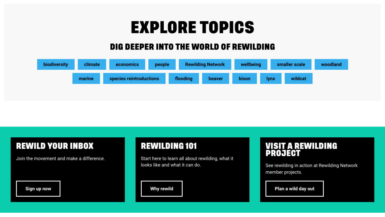 An “Explore topics” section on the Rewilding Britain website, with tags for biodiversity, climate, economics, beaver, lynx and more.
