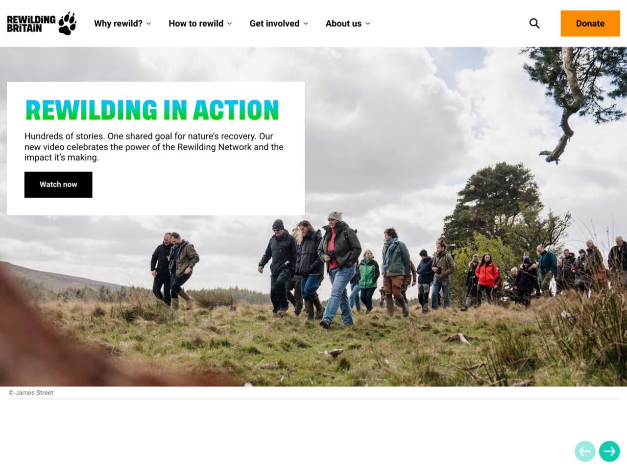 The Rewilding Britain homepage, headlined “Rewilding in action”, over a photograph of a group walking together through moorland.