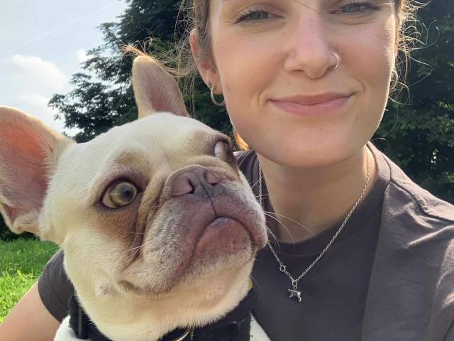 French Bulldog Image