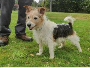 Navigation - Terrier Photo