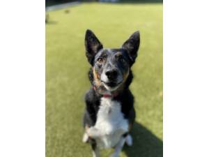 Bella Photo