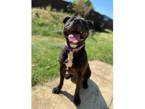 Cooper Photo