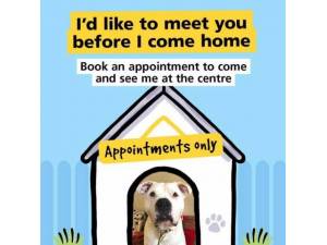 dog rescue centres sussex