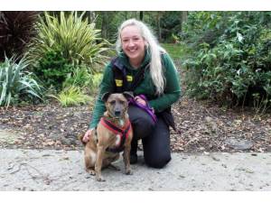 Barney - Male A Crossbreed Photo
