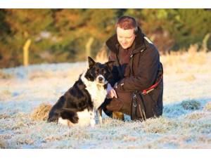 May - Female Border Collie Photo