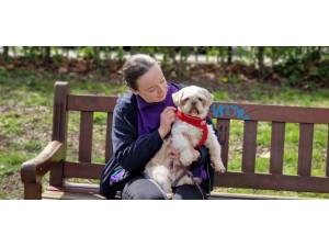 Bubbles - female Shih Tzu Photo