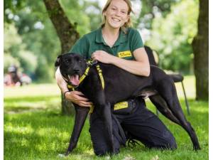 Storm - Male A Crossbreed Photo
