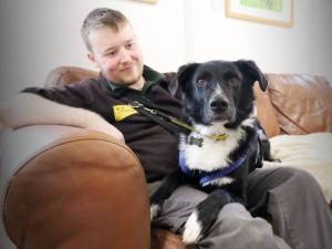 Mac - male Collie (Border) Cross Photo