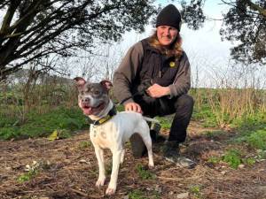 Skye - female Terrier (Staffordshire Bull) Photo