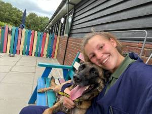 Olivia - female Belgian Shepherd Dog (Malinois) Photo