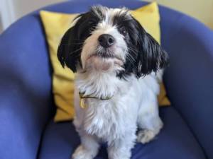 Angel - female Unlisted Photo