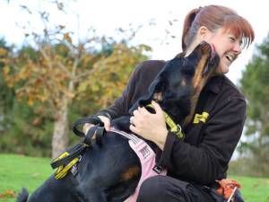 Roxie - female Rottweiler Photo