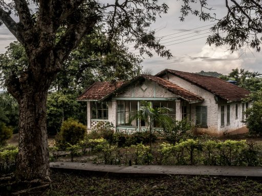 Fordlandia