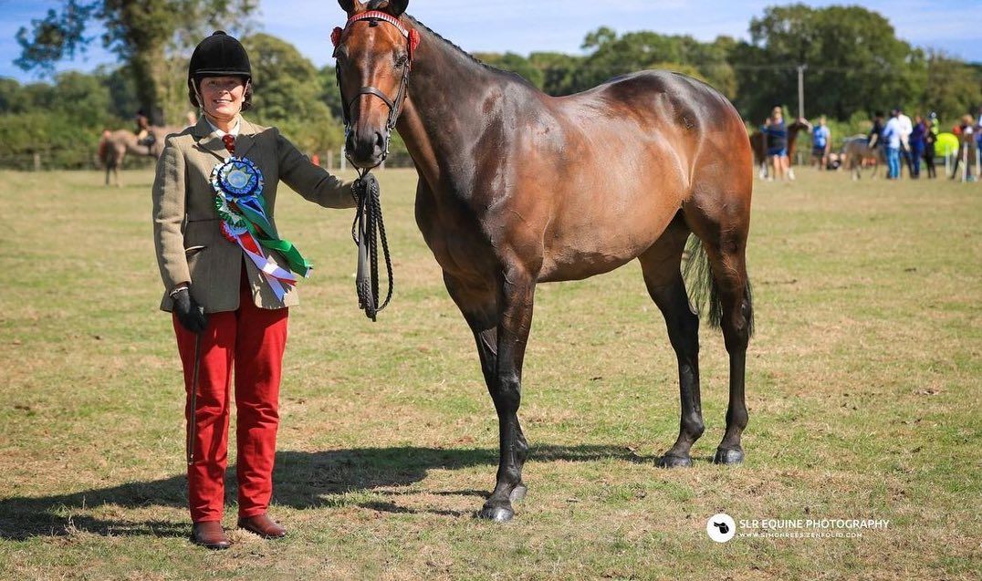 Glamorgan hunt show.jpeg