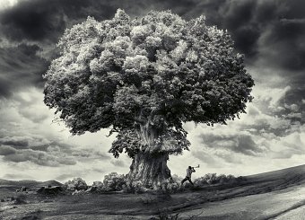 Stop the Catastrophe by Carioca Studio