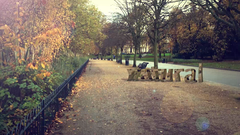 Autumn in Victoria Park