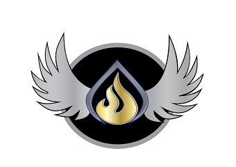 The Wings Of Fire Logo Design