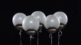 Hazte Lapón | Music video"Hushpuppy"