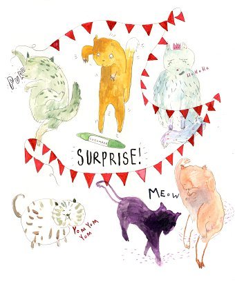 Cats