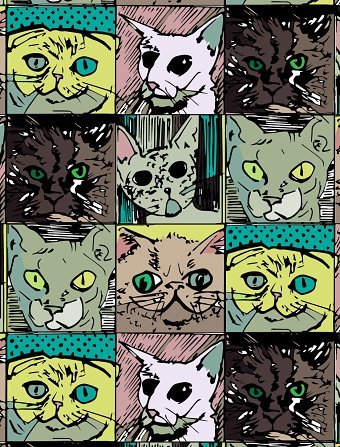 cat pattern