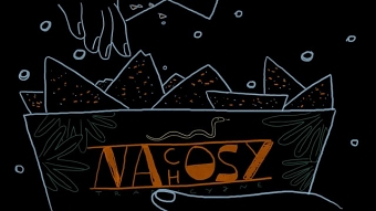 Festival Animocje 2015 promotional video
