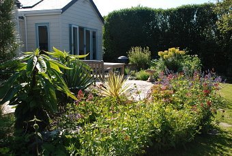 Planting Design project examples