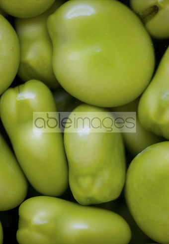 Some food photography
