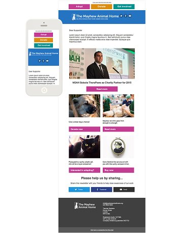 The Mayhew Animal Home Newsletter Template
