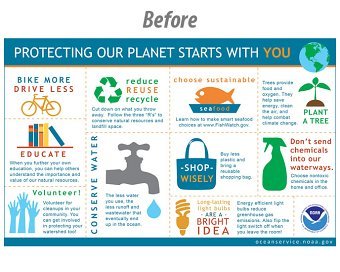 Info graphic Project
