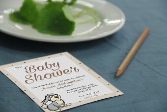 Baby Shower Invitation