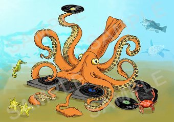 Squid illustration