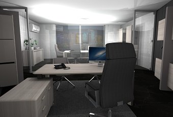 Project for established IT company