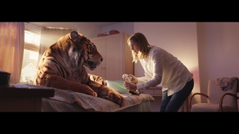 A Tiger in Suburbia
