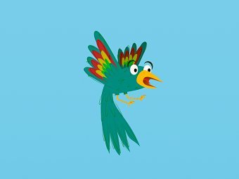 The Giruckoo