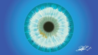 The Eye