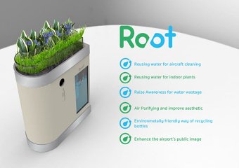 Root