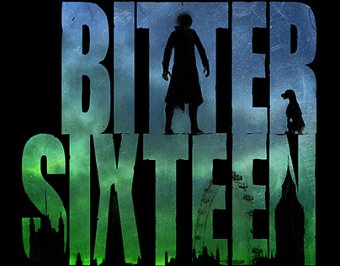 'Bitter Sixteen' book cover