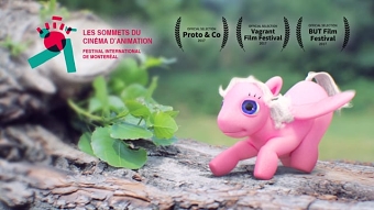 Pegasino at the Common