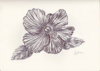 BALLPEN DRAWINGS FROM LAOS 2016