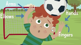 BBC Learning - Parts of the Human Body